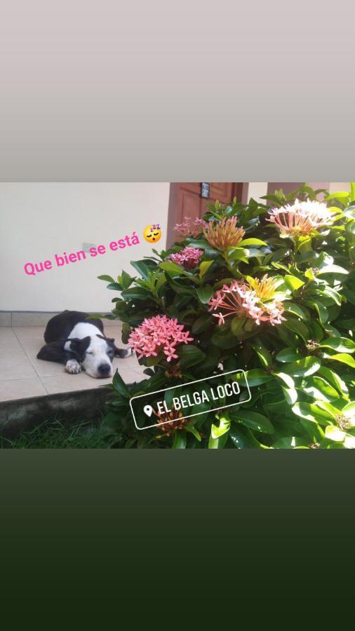 El Belga Loco Hotel Las Peñitas Eksteriør billede