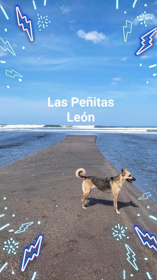 El Belga Loco Hotel Las Peñitas Eksteriør billede