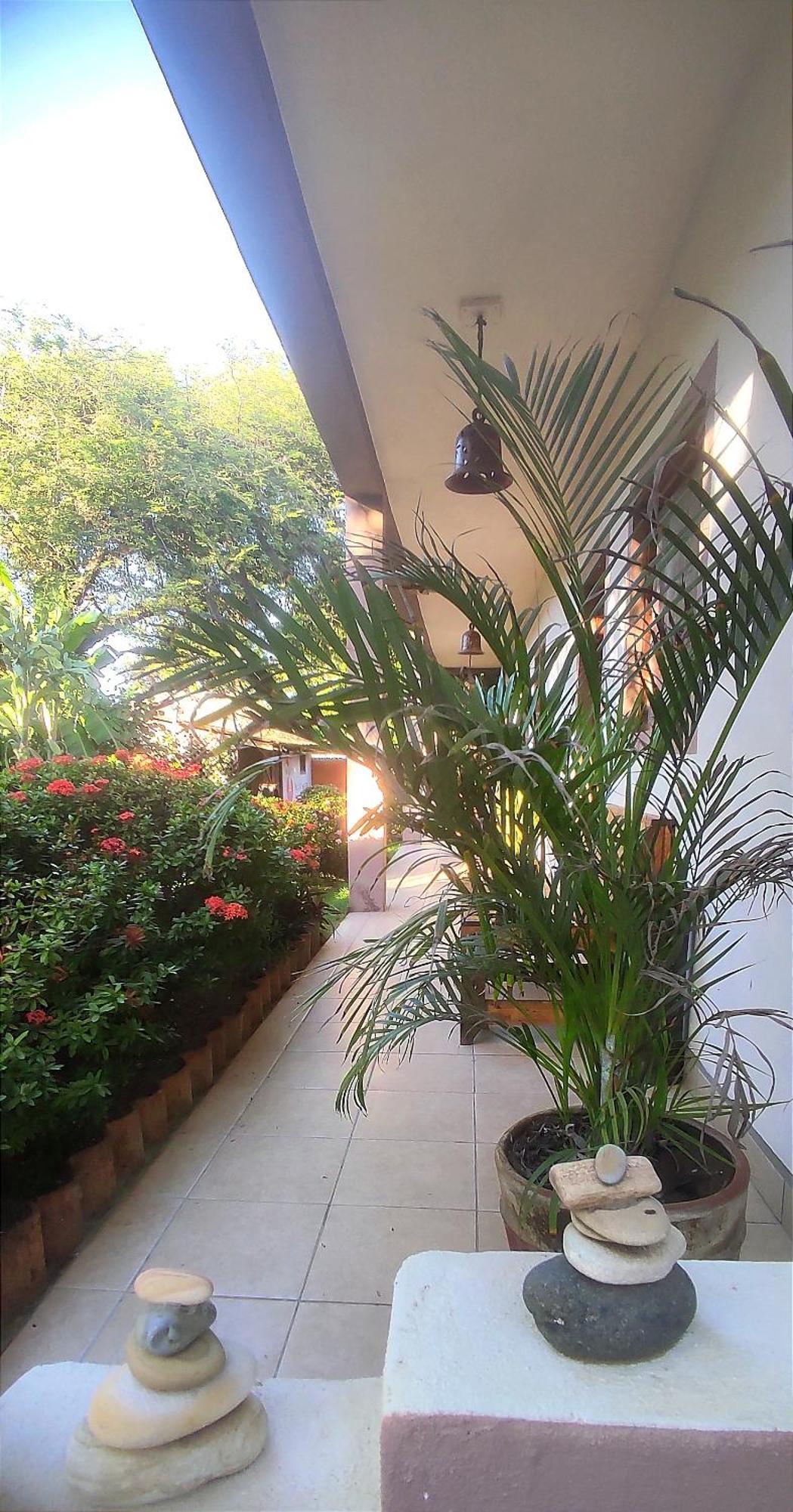 El Belga Loco Hotel Las Peñitas Eksteriør billede